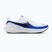 Pánské běžecké boty Nike Revolution 8 white/racer blue/black
