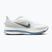 Pánské běžecké boty Nike Pegasus Premium white/hydrogen blue/aluminum/grey fog