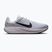 Pánské běžecké boty Nike Quest 7 pure platinum/white/wolf grey/black