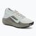 Pánské běžecké boty Nike ACG Pegasus Trail GORE-TEX Light Silver/Light Army/Light Silver