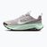 Dámské běžecké boty Nike Wildhorse 10 silver lilac/tattoo/barely green