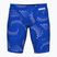 Pánské plavecké jammery arena Fireflow Swim Jammer black/team royal