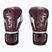 Boxerské rukavice  Venum Elite Evo burgundy/silver