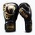 Boxerské rukavice Venum Giant 2.0 Mike Tyson Pro Boxing black/gold
