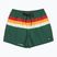 Pánské koupací šortky Quiksilver Everyday Printed Volley 15" forest outside stripe