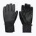 Pánské snowboardové rukavice DC Franchise 10K black
