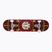 Klasický skateboard Element Tecuala barva 531589562