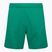 Pánské fotbalové šortky Capelli Sport Cs One Adult Match green/white