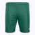 Capelli Sport Cs One Youth Match zeleno-bílé dětské fotbalové šortky