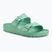 Nazouváky BIRKENSTOCK Arizona EVA Narrow bold jade