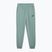 Pánské tepláky PUMA ESS No. 1 Logo Sweatpants TR CL green moon