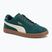 Pánské boty PUMA Club II Era Suede dark myrtle/alpine snow/gum