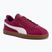 Boty  PUMA Club II berry/puma white/puma gold