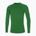 Pánské běžecké tričko Longsleeve Mizuno Core Underwear green/black