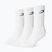 Pánské ponožky Boxraw Crew 3 szt. White