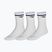 Ponožky Mizuno Training With Line 3 pairs white/estate blue