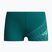 Dětské plavecké boxerky Speedo Medley Logo Aquashort deep emerald/alfalfa green