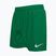 Dětské plavecké šortky Nike Essential 4" Volley stadium green