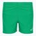 Dětské plavecké šortky Nike Essential 4" Volley stadium green