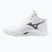 Volejbalové boty Mizuno Wave Momentum Pro Mid white/metallic gray/black