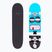 Skateboard Fish Skateboards Pro Bart 8.0" 