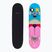 Skateboard Fish Skateboards Pro Paul 8,25"