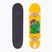 Skateboard Fish Skateboards Beginner Superior 8,0" 