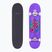 Skateboard Fish Skateboards Začátečník Huron 8.0" 
