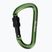 Salewa D-Shape Carbiner se šroubem zelená 00-0000034102