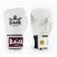 Boxerské rukavice RAJA BOXING Single Standard Genuine Leather white