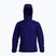 Pánská zateplená bunda Arc'teryx Atom Hoody soulsonic