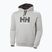 Pánská mikina Helly Hansen HH Logo Hoodie grey/melange