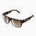 Sluneční brýle  POC Want tortoise brown/clarity trail/partly sunny silver