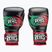 Boxerské rukavice  Cleto Reyes Velcro Sparring black/red/white green red