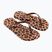 Dámské žabky Ipanema Animal Print beige/bronze/bronze