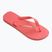 Žabky Havaianas Brasil Logo tropical coral