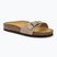 Dámské pantofle Scholl Estelle Sue dark beige