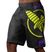 Hayabusa Icon Fight MMA šortky černo-žluté ICFS-BK-L