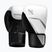 Boxerské rukavice Hayabusa E1 Boxing white/silver