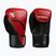 Boxerské rukavice Hayabusa E1 Boxing red/black