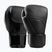 Boxerské rukavice Hayabusa E1 Leather black