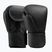 Boxerské rukavice Hayabusa T360 Leather black