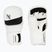 Grapplingové rukavice Hayabusa T3 Hybrid white/black