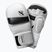 Grapplingové rukavice Hayabusa T3 Hybrid white/black