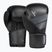 Boxerské rukavice Hayabusa S4 black