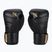 Boxerské rukavice Hayabusa T3 černé/zlaté