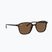 Sluneční brýle Ray-Ban Leonard tortoise/brown polarized