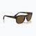 Sluneční brýle Ray-Ban RB4428 havana matte/brown polarized