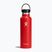 Cestovní láhev Hydro Flask Standard Flex 620 ml goji