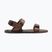 Pánské barefoot sandály Xero Shoes D-Trail cocoa brown/java brown